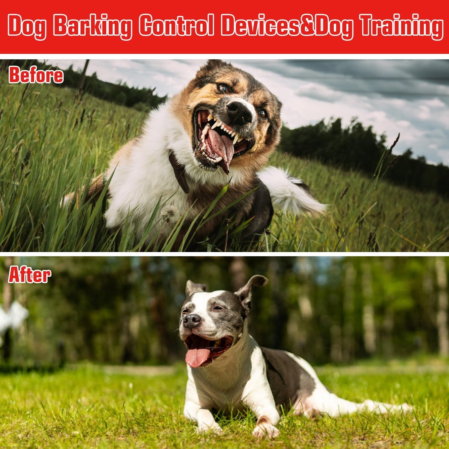 Anti Barking Devices, Dog Bark Dee2224