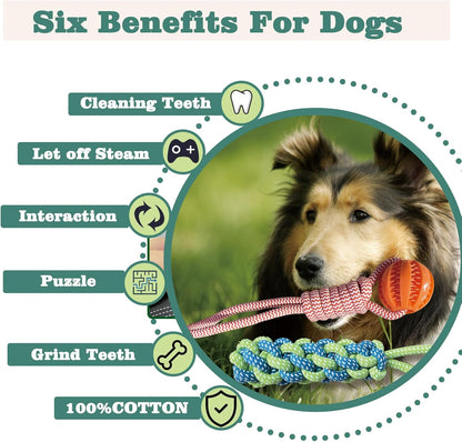 Interactive Dog Toys Tug of War Dog Toy for Small/Medium/Large Dogs,Teething Rope for Teeth Cleaning,Puzzle Ball for Chewing,Dog Bungee Tug Toy Kit, Blue